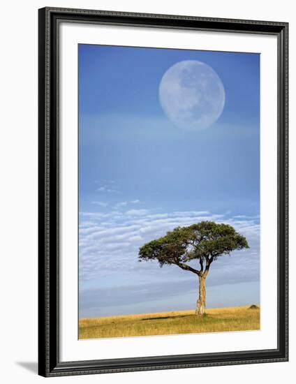 Full Moon, Masai Mara, Kenya-Adam Jones-Framed Art Print