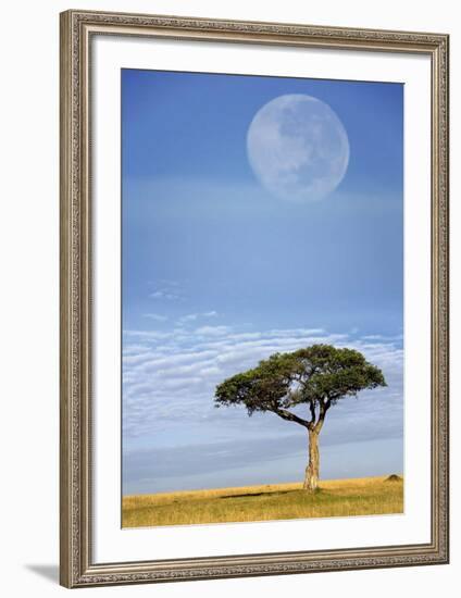 Full Moon, Masai Mara, Kenya-Adam Jones-Framed Art Print