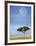 Full Moon, Masai Mara, Kenya-Adam Jones-Framed Art Print