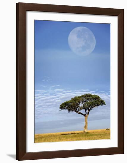 Full Moon, Masai Mara, Kenya-Adam Jones-Framed Art Print