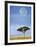 Full Moon, Masai Mara, Kenya-Adam Jones-Framed Art Print