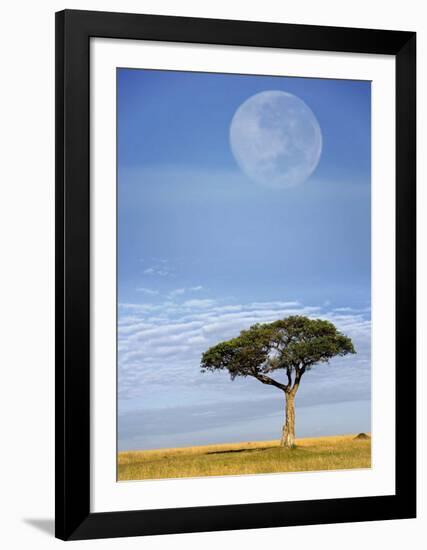 Full Moon, Masai Mara, Kenya-Adam Jones-Framed Art Print