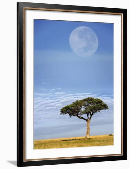 Full Moon, Masai Mara, Kenya-Adam Jones-Framed Art Print