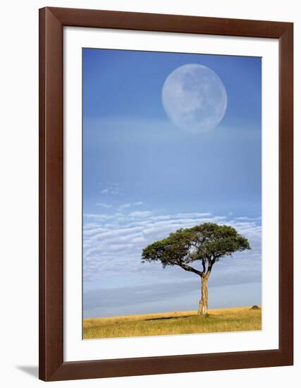 Full Moon, Masai Mara, Kenya-Adam Jones-Framed Art Print