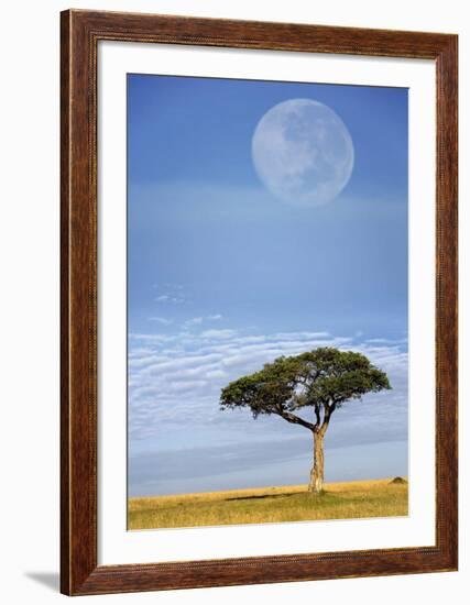 Full Moon, Masai Mara, Kenya-Adam Jones-Framed Art Print