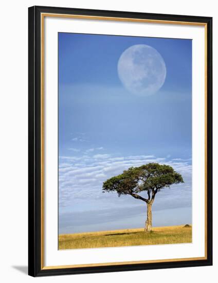 Full Moon, Masai Mara, Kenya-Adam Jones-Framed Art Print