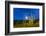 Full moon on saguaro cactus (Carnegiea gigantea), Sweetwater Preserve, Tucson, Arizona, United Stat-Michael Nolan-Framed Photographic Print