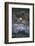 Full Moon Over Coit Tower, San Francisco Iconic Travel-Vincent James-Framed Photographic Print