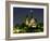 Full Moon over Notre Dame Cathedral at Night, Paris, France-Jim Zuckerman-Framed Photographic Print