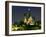 Full Moon over Notre Dame Cathedral at Night, Paris, France-Jim Zuckerman-Framed Photographic Print