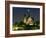 Full Moon over Notre Dame Cathedral at Night, Paris, France-Jim Zuckerman-Framed Photographic Print