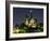 Full Moon over Notre Dame Cathedral at Night, Paris, France-Jim Zuckerman-Framed Photographic Print