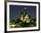 Full Moon over Notre Dame Cathedral at Night, Paris, France-Jim Zuckerman-Framed Photographic Print