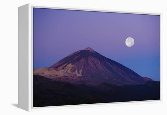 Full Moon over Teide Volcano at Sunrise, Teide Np, Tenerife, Canary Islands, Spain, December 2008-Relanzón-Framed Premier Image Canvas