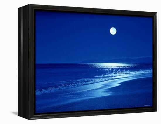 Full Moon Over the Sea-null-Framed Premier Image Canvas