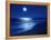 Full Moon Over the Sea-null-Framed Premier Image Canvas