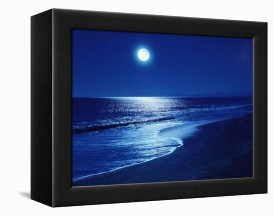 Full Moon Over the Sea-null-Framed Premier Image Canvas