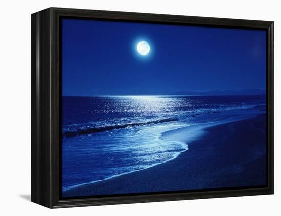 Full Moon Over the Sea-null-Framed Premier Image Canvas