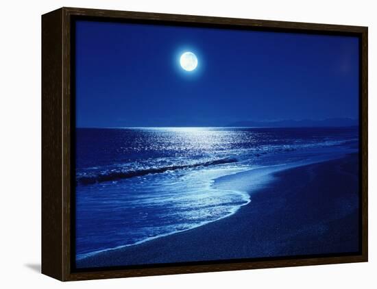 Full Moon Over the Sea-null-Framed Premier Image Canvas