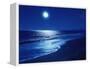 Full Moon Over the Sea-null-Framed Premier Image Canvas