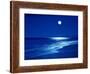 'Full Moon Over the Sea' Photographic Print | Art.com