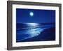 Full Moon Over the Sea-null-Framed Photographic Print