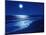 Full Moon Over the Sea-null-Mounted Photographic Print