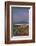 Full moon over the Teton Range at Cunningham Ranch, Grand Teton National Park, Wyoming.-Alan Majchrowicz-Framed Photographic Print