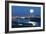 Full Moon Over Vancouver-David Nunuk-Framed Photographic Print