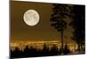 Full Moon Over Vancouver-David Nunuk-Mounted Photographic Print