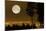 Full Moon Over Vancouver-David Nunuk-Mounted Photographic Print