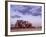 Full Moon Rises over Spectacular Grove of Ancient Baobab Trees, Nxai Pan National Park, Botswana-Nigel Pavitt-Framed Photographic Print