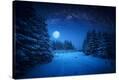 Stretched Canvas Print
