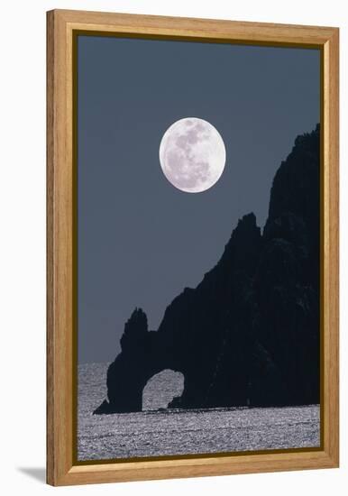 Full Moon Rising Over a Coastal Cliff-David Nunuk-Framed Premier Image Canvas