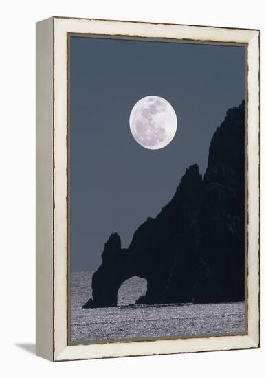 Full Moon Rising Over a Coastal Cliff-David Nunuk-Framed Premier Image Canvas