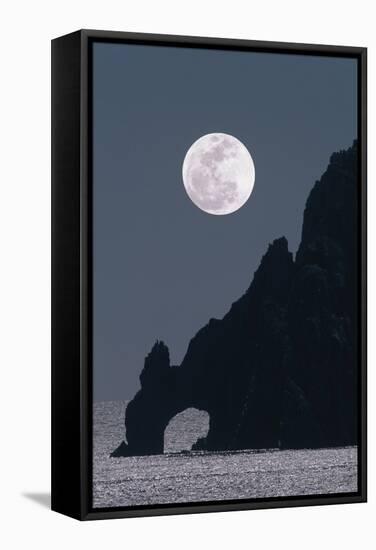 Full Moon Rising Over a Coastal Cliff-David Nunuk-Framed Premier Image Canvas