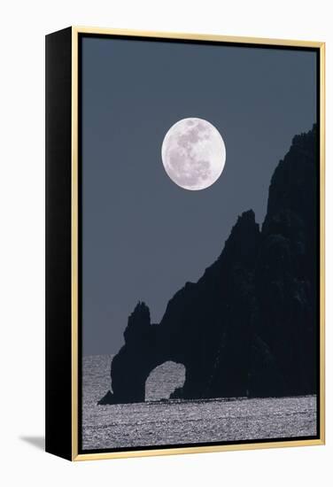 Full Moon Rising Over a Coastal Cliff-David Nunuk-Framed Premier Image Canvas