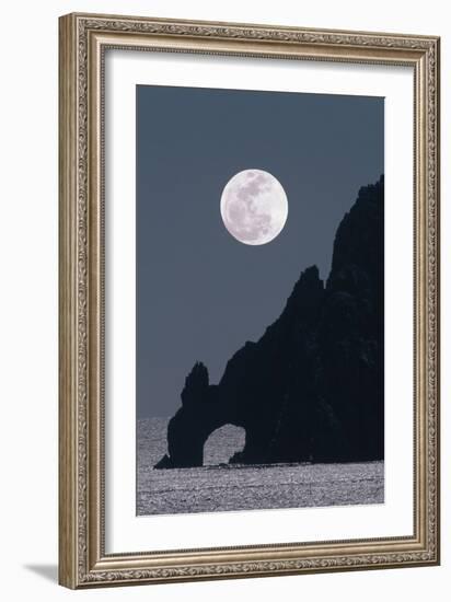 Full Moon Rising Over a Coastal Cliff-David Nunuk-Framed Photographic Print