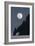 Full Moon Rising Over a Coastal Cliff-David Nunuk-Framed Photographic Print