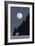 Full Moon Rising Over a Coastal Cliff-David Nunuk-Framed Photographic Print