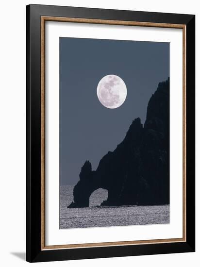 Full Moon Rising Over a Coastal Cliff-David Nunuk-Framed Photographic Print