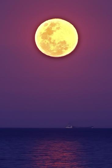 Photographic Print, , large