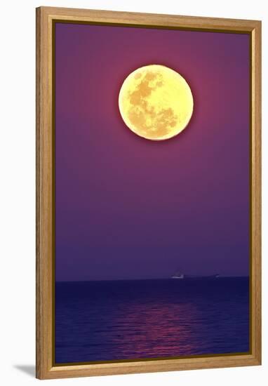 Full Moon rising over the sea-null-Framed Premier Image Canvas