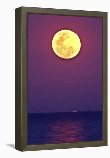 Full Moon rising over the sea-null-Framed Premier Image Canvas