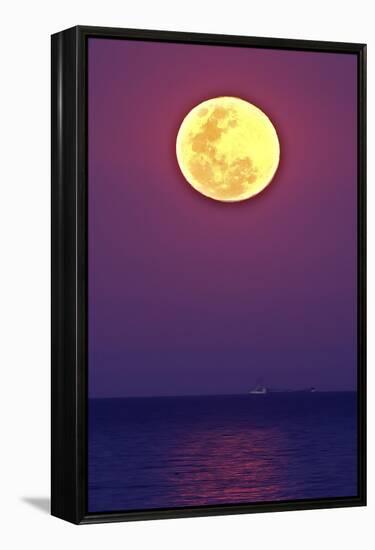 Full Moon rising over the sea-null-Framed Premier Image Canvas