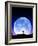 Full Moon Rising-David Nunuk-Framed Photographic Print