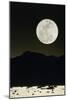 Full Moon Seen From Earth Over Mountains-David Nunuk-Mounted Photographic Print