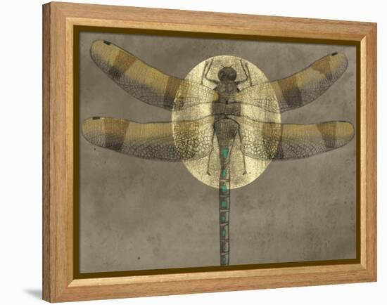 Full Moon Serenade II-Alicia Ludwig-Framed Stretched Canvas