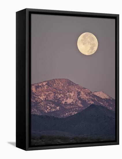 Full Moon Setting over Snow-Covered Magdelena Mountains at Socorro, New Mexico, USA-Larry Ditto-Framed Premier Image Canvas