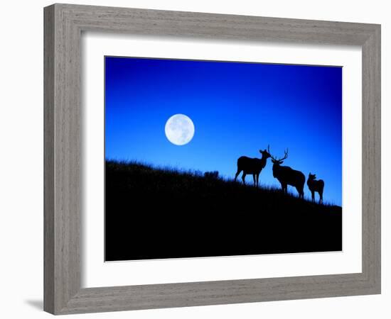 Full Moon, Super Moon, Yellowstone National Park, Wyoming-Maresa Pryor-Framed Photographic Print